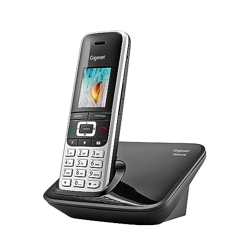 Gigaset Premium 100 - Teléfono inalámbrico DECT - Gran Pantalla TFT en Color - Agenda con 500 contactos - Sincronización de Datos vía USB, Audio, Color Platino-Negro